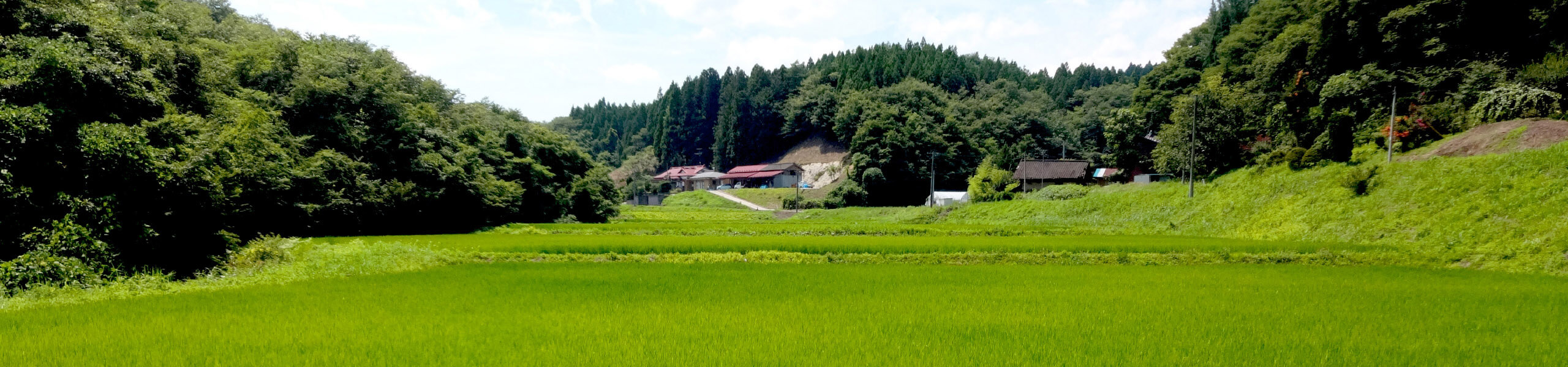 里山利用と景観形成