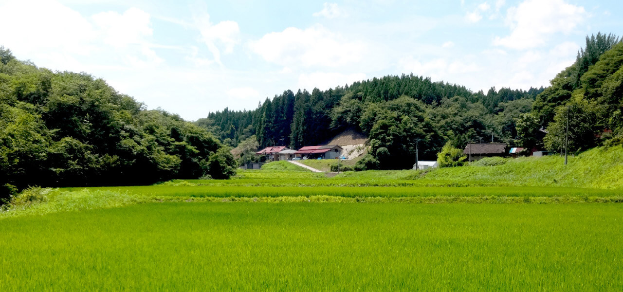 里山利用と景観形成